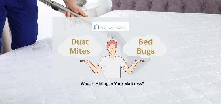 What’s hiding inside your mattress – dust mites, bed bugs, and more