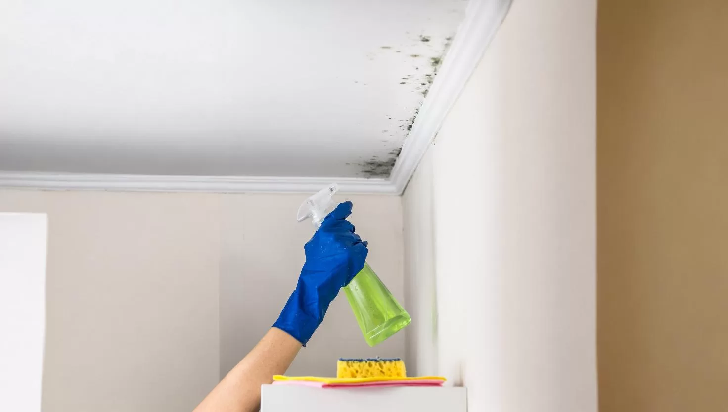 Corners, Ceilings and Air Vents often missed in cleaning