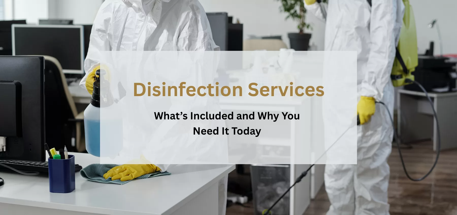 What is included in pt clean Disinfection Services kl