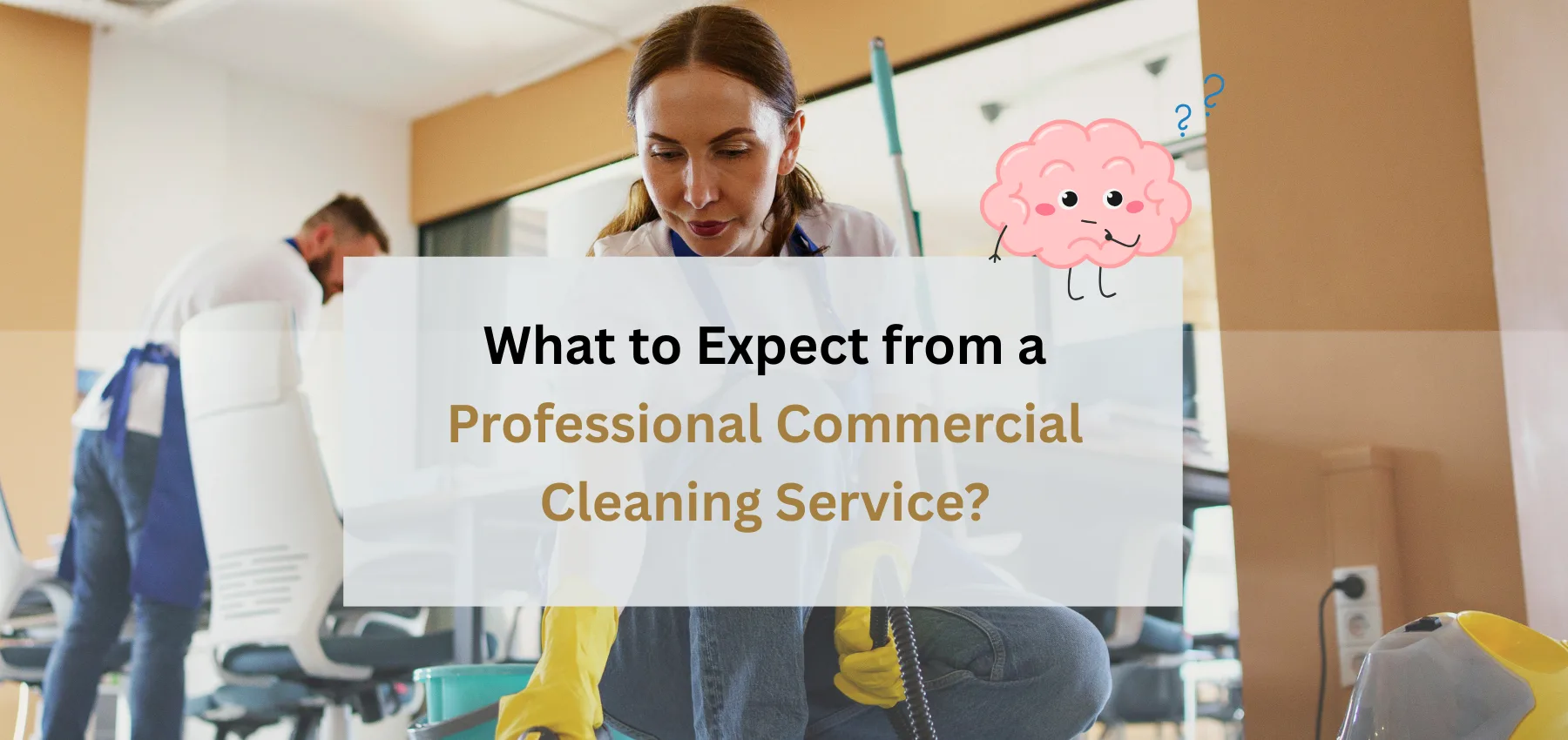 What to expect from a professional commercial cleaning service