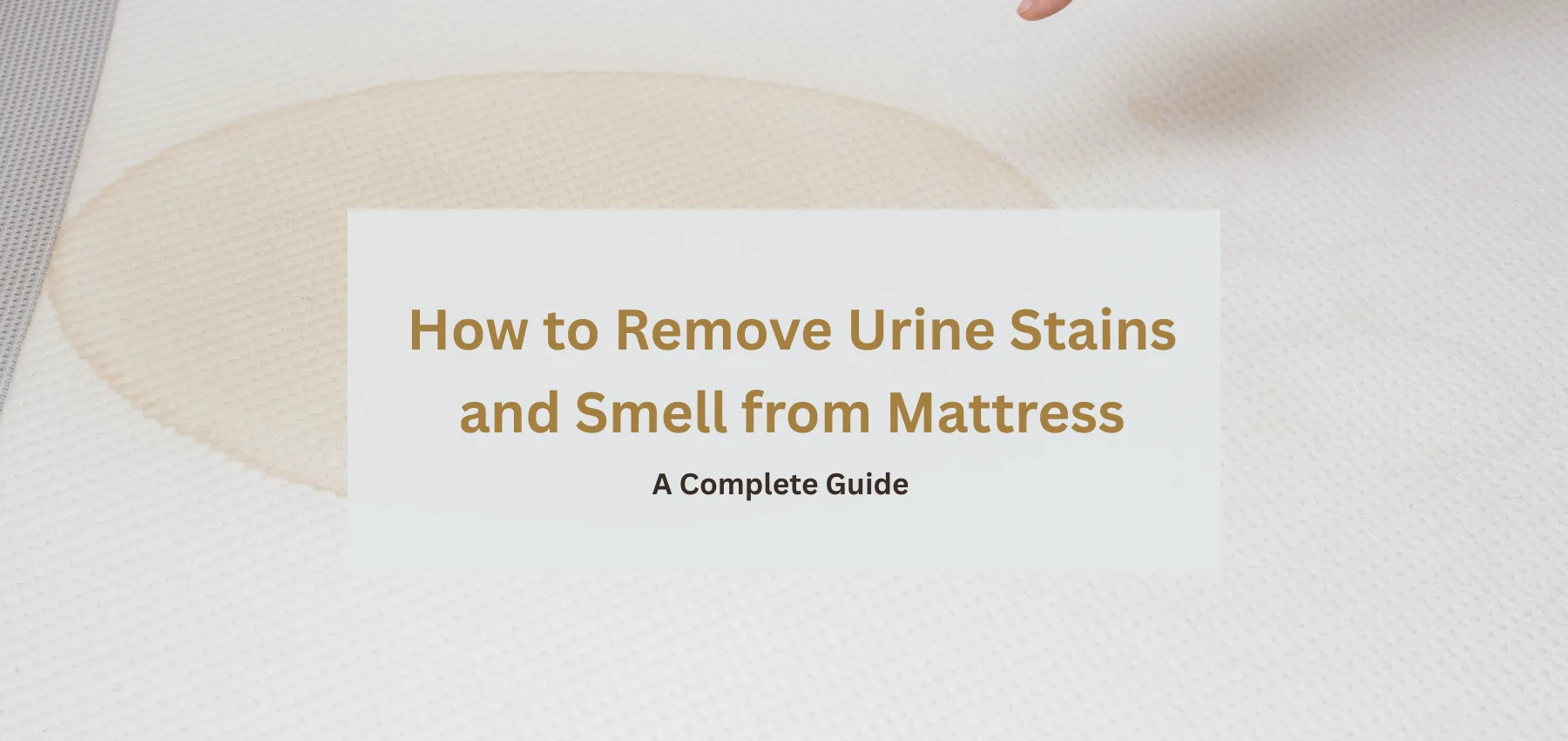 How to Remove Urine Stains and Smell from Mattress